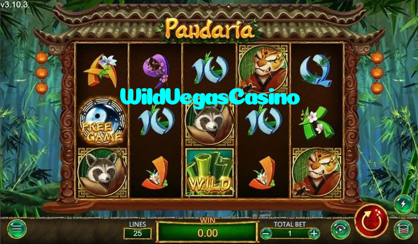 making first deposit on WildVegasCasino website using local payment methods in Pakistan